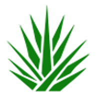 Casa Agave logo
